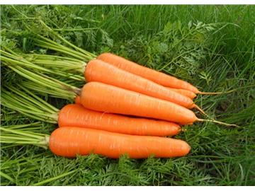 英國不只是吃肉，還吃哪些常見蔬菜