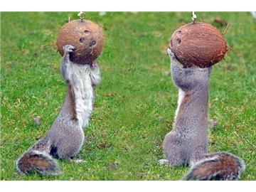 英國那些有趣的奇葩節(jié)日