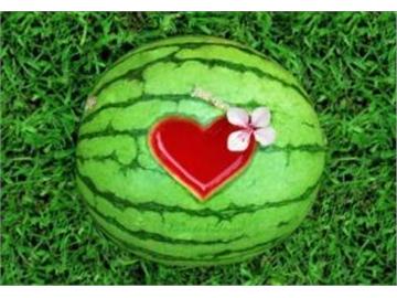 前輩們的英國留學體驗，分享給大家