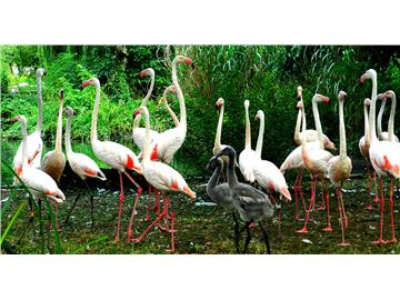 哈利波特中的場(chǎng)景，你知道在英國哪些地方嗎