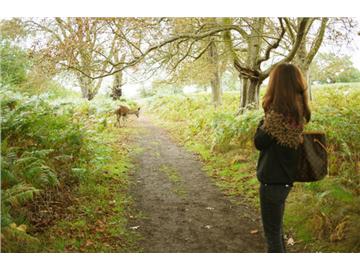 英國那獨特的美，去這些地方感受下吧