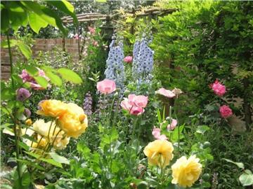 英國那些美麗的花兒，是不是也亮瞎了你的眼