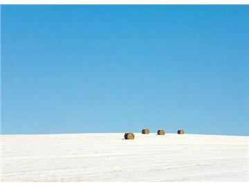 低齡留學熱門因素解讀，為什么家長想送孩子去英國