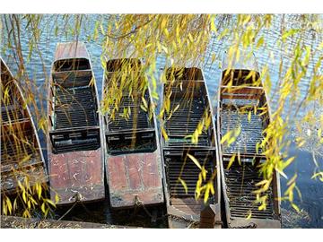 英國留學(xué)中介哪個(gè)好？這幾大誤區(qū)請繞開！