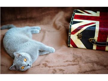 高中生申請英國留學(xué)要準(zhǔn)備哪些材料，什么時候申請比較恰當(dāng)？