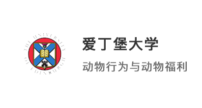 【碩士案例】雙非均分81冷門專業(yè)，考研后逆襲愛丁堡大學(xué)、KCL！