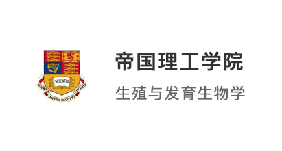 【英國G5】被曼大秒拒卻獲IC offer，不按常理出牌的申請策略！