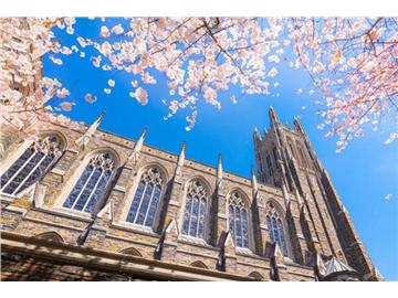 美國(guó)留學(xué)，GPA成績(jī)不夠可以通過(guò)哪些來(lái)彌補(bǔ)？