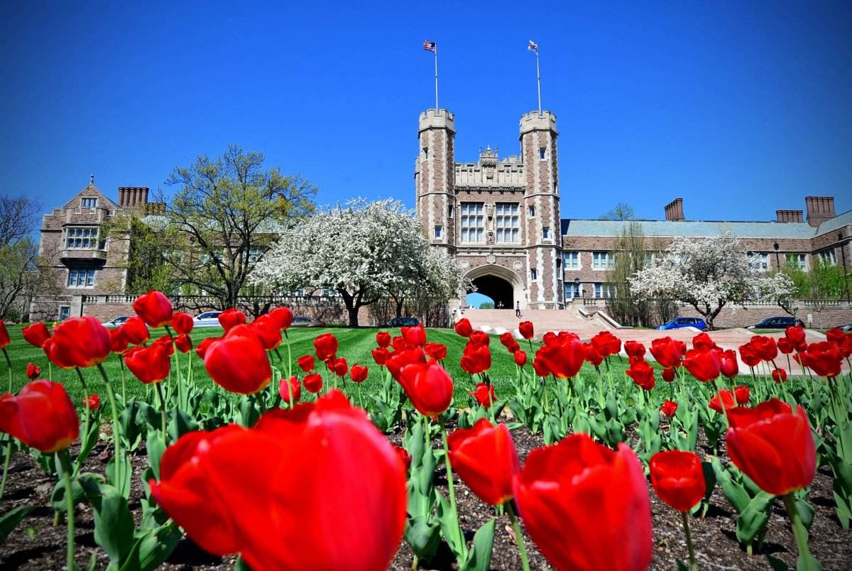 恭喜G同學(xué)獲得圣路易斯華盛頓大學(xué)電氣工程專業(yè)碩士通知書
