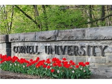 恭喜L同學獲得康奈爾大學環(huán)境工程專業(yè)碩士通知書