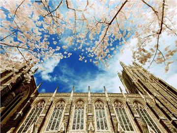 美國(guó)名校更喜歡哪種學(xué)生？